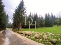 Buy Lot  in Zabljak, Montenegro 520m2 low cost price 57 200€ ID: 130399 4