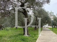 Купить коттедж в Улцинье, Черногория 400м2, участок 476м2 цена 240 000€ у моря ID: 130544 5