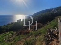 Купить участок в Добра Воде, Черногория 2 600м2 цена 468 000€ у моря элитная недвижимость ID: 130634 5