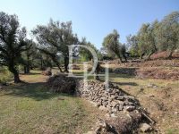 Купить виллу в Герцег-Нови, Черногория 237м2, участок 489м2 цена 195 000€ ID: 130646 5