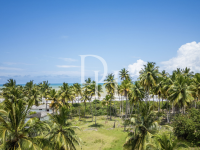 Buy Lot in Cabarete, Dominican Republic 12 590m2 price 1 573 000$ near the sea elite real estate ID: 130925 2