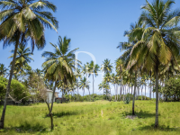 Buy Lot in Cabarete, Dominican Republic 12 590m2 price 1 573 000$ near the sea elite real estate ID: 130925 3