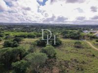 Parcel in Sosua (Dominican Republic) - 2626 m2, ID:130720