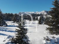 Купить коттедж в Жабляке, Черногория 70м2, участок 400м2 цена 85 000€ ID: 131019 2