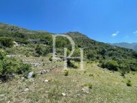 Купить участок в Баре, Черногория 10 000м2 цена 300 000€ элитная недвижимость ID: 131030 8