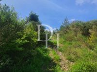 Buy Lot in Sutomore, Montenegro 1 727m2 price 154 000€ near the sea ID: 131038 2