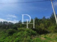 Buy Lot in Sutomore, Montenegro 1 727m2 price 154 000€ near the sea ID: 131038 3
