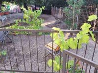 Купить коттедж в Утехе, Черногория 50м2, участок 369м2 цена 80 000€ у моря ID: 131109 3