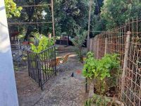 Купить коттедж в Утехе, Черногория 50м2, участок 369м2 цена 80 000€ у моря ID: 131109 6