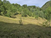 Купить участок в Колашине, Черногория 26 000м2 недорого цена 15€ ID: 131188 3