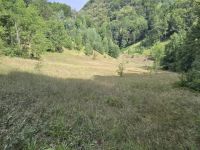 Купить участок в Колашине, Черногория 26 000м2 недорого цена 15€ ID: 131188 4