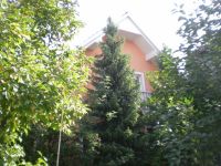 Buy cottage in Ljubljana, Slovenia 225m2, plot 440m2 price 662 000€ elite real estate ID: 131190 6