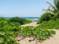 Buy Lot in Cabarete, Dominican Republic 2 000m2 price 200 000$ near the sea ID: 131255 2