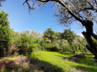 Купить участок в Которе, Черногория 2 177м2 цена 261 240€ ID: 131308 2