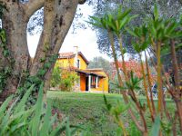 Villa in Piran (Slovenia) - 214 m2, ID:131345