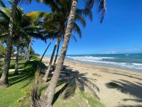 Buy apartments in Cabarete, Dominican Republic 65m2 price 220 000$ near the sea ID: 131393 8