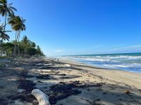 Buy villa in Cabarete, Dominican Republic plot 3 886m2 price 825 000$ near the sea elite real estate ID: 131497 3