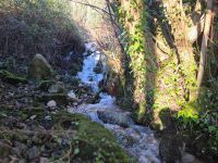 Купить участок в Будве, Черногория 1 350м2 цена 135 000€ ID: 131489 6