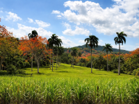 Buy Lot in Cabarete, Dominican Republic 40 183m2 price 390 000€ elite real estate ID: 131547 4