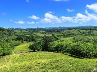 Buy Lot in Cabarete, Dominican Republic 40 183m2 price 390 000€ elite real estate ID: 131547 5