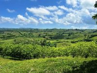 Buy Lot in Cabarete, Dominican Republic 40 183m2 price 390 000€ elite real estate ID: 131547 8