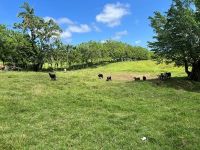 Buy Lot in Cabarete, Dominican Republic 40 183m2 price 390 000€ elite real estate ID: 131547 9