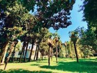 Buy home in Piran, Slovenia 317m2, plot 1 000m2 price 2 966 000€ elite real estate ID: 131561 3