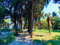 Buy home in Piran, Slovenia 317m2, plot 1 000m2 price 2 966 000€ elite real estate ID: 131561 4
