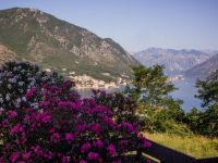 Купить апартаменты в Которе, Черногория 47м2 цена 173 000€ у моря ID: 131566 10