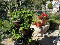 Купить коттедж в Сутоморе, Черногория 152м2, участок 180м2 цена 197 000€ ID: 131599 10