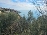 Купить виллу в Улцинье, Черногория 205м2, участок 122м2 цена 168 000€ у моря ID: 131614 5