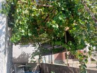 Купить коттедж в Сутоморе, Черногория 50м2, участок 160м2 недорого цена 70 000€ ID: 131610 6