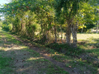 Участок в г. Кабарете (Доминиканская Республика) - 2350 м2, ID:131616