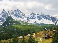 Участок в г. Жабляк (Черногория) - 588 м2, ID:131632