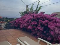 Купить виллу в Утехе, Черногория 120м2, участок 204м2 цена 170 000€ у моря ID: 131641 8