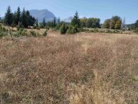 Участок в г. Жабляк (Черногория) - 326 м2, ID:131646