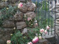 Купить коттедж в Которе, Черногория 73м2, участок 78м2 цена 79 000€ у моря ID: 131649 3