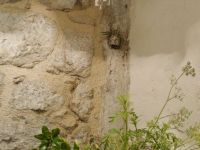 Купить коттедж в Которе, Черногория 73м2, участок 78м2 цена 79 000€ у моря ID: 131649 4