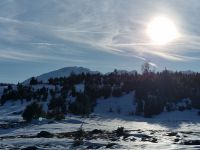 Купить участок в Жабляке, Черногория 547м2 недорого цена 43 760€ ID: 131650 2