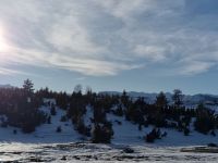 Купить участок в Жабляке, Черногория 547м2 недорого цена 43 760€ ID: 131650 3