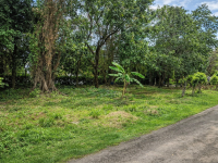 Участок в г. Кабарете (Доминиканская Республика) - 1142 м2, ID:131652