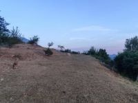 Купить участок в Баре, Черногория 2 900м2 цена 400 000€ элитная недвижимость ID: 131658 2