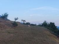 Купить участок в Баре, Черногория 2 900м2 цена 400 000€ элитная недвижимость ID: 131658 6