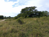 Parcel in Cabarete (Dominican Republic) - 2548 m2, ID:131719