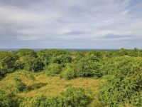 Buy Lot in Cabarete, Dominican Republic 2 548m2 price 200 000$ ID: 131719 3