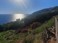Участок в г. Добра Вода (Черногория) - 2600 м2, ID:131842
